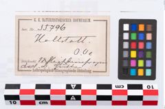 Etikett zu Schleifstein (NHMW-PRAE-035796)